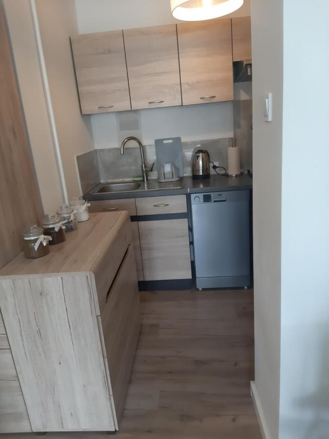 Apartament Komfortowy - W Pelni Wyposazony - Spaceapart Apartment Jelenia Góra Exterior foto